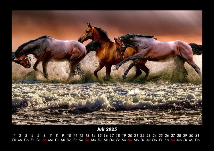 Produktbild: Die Welt der Pferde 2025 Fotokalender DIN A3