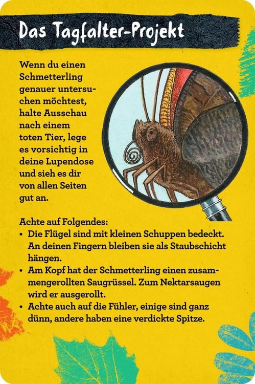 Produktbild: 50 Insekten, Spinnen & Co. - Nature Zoom (Blechdose)