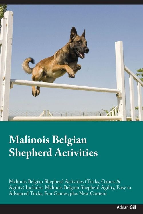Produktbild: Malinois Belgian Shepherd Activities Malinois Belgian Shepherd Activities (Tricks, Games & Agility) Includes