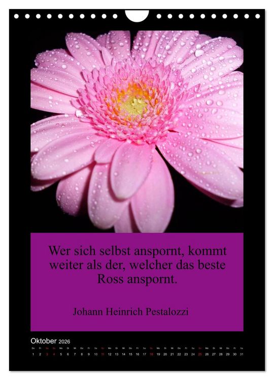 Produktbild: Lebensweisheiten mit Blumigen Gr&uuml;&szlig;en (Wandkalender 2026 DIN A4 hoch), CALVENDO Monatskalender