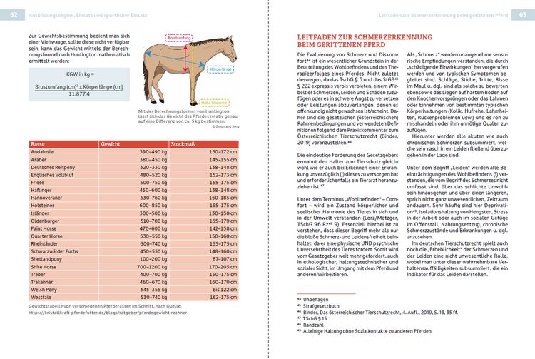 Produktbild: Rechtsleitfaden zum (Freizeit-)Reit- & Pferdesport