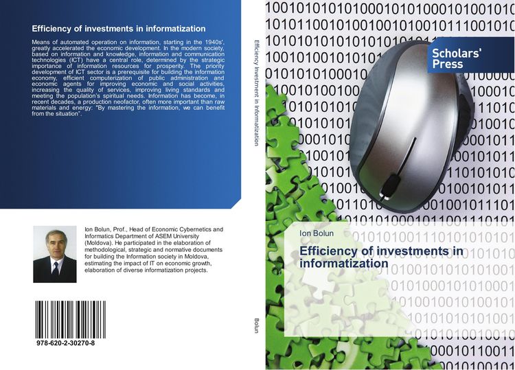 Produktbild: Efficiency of investments in informatization