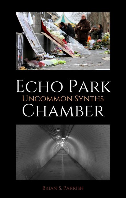 Produktbild: Echo Park Chamber: Uncommon Synths
