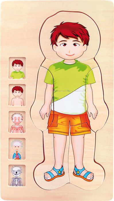 Produktbild: Schichtenpuzzle Anatomie Junge