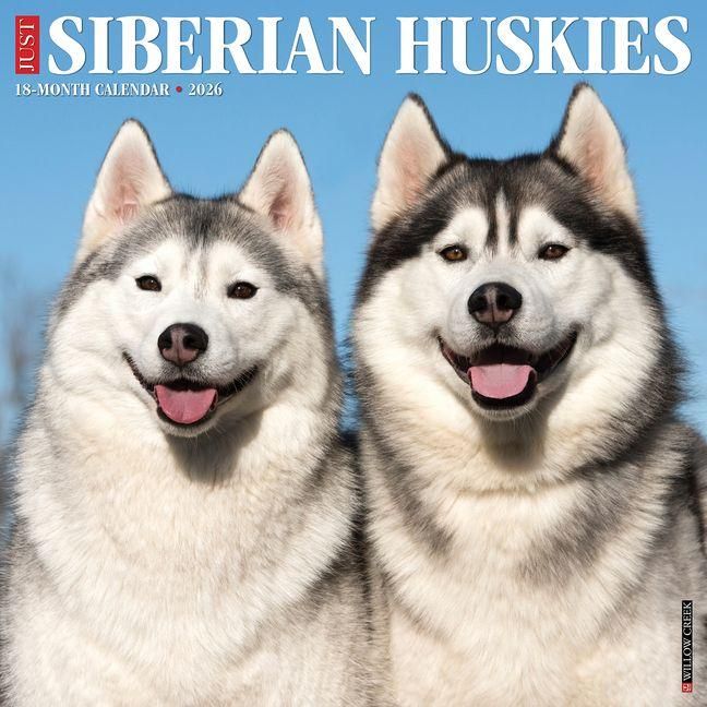 Produktbild: Siberian Huskies 2026 Wall Calendar