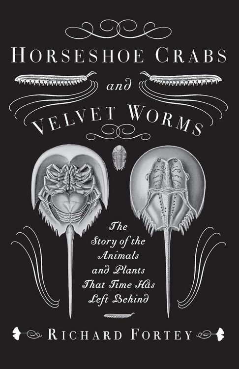 Produktbild: Horseshoe Crabs and Velvet Worms