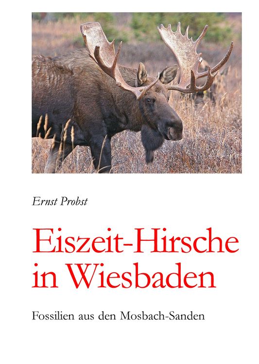 Produktbild: Eiszeit-Hirsche in Wiesbaden