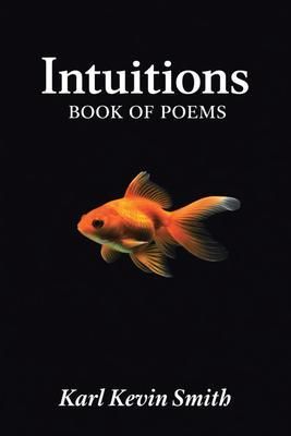 Produktbild: Intuitions