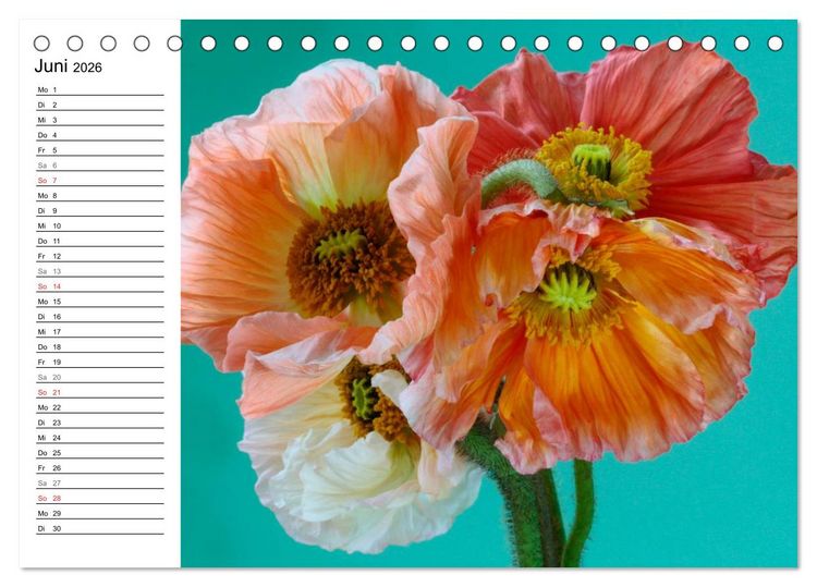 Produktbild: Mohn im Portr&auml;t (Tischkalender 2026 DIN A5 quer), CALVENDO Monatskalender