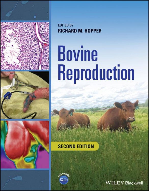 Produktbild: Bovine Reproduction