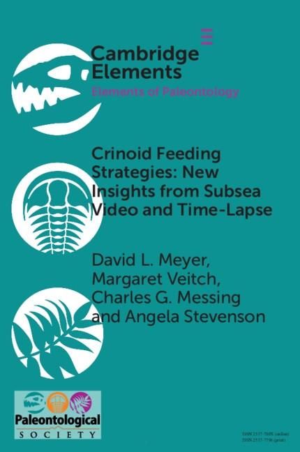 Produktbild: Crinoid Feeding Strategies: New Insights From Subsea Video And Time-Lapse