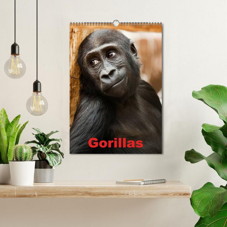 Produktbild: Gorillas (Wandkalender 2026 DIN A3 hoch), CALVENDO Monatskalender