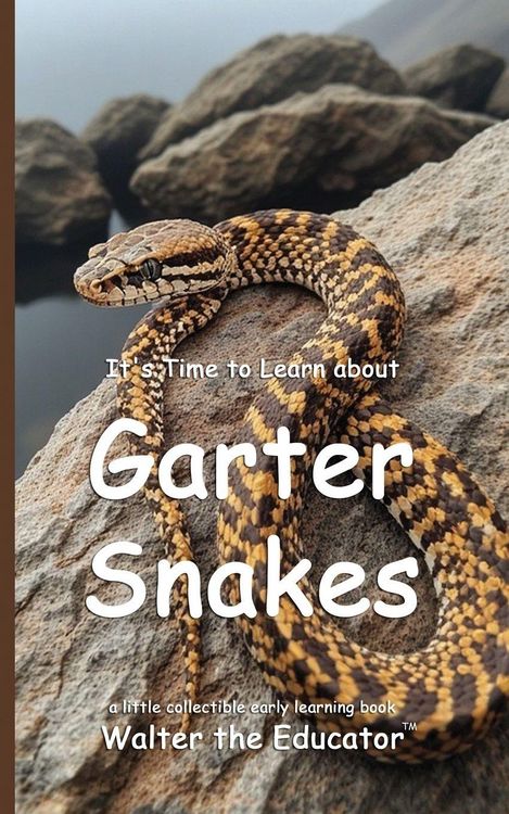 Produktbild: It's Time to Learn about Garter Snakes
