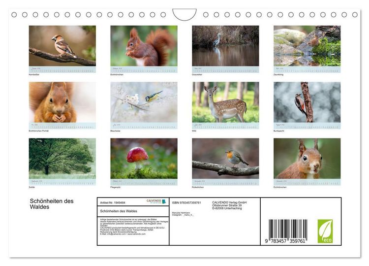 Produktbild: Sch&ouml;nheiten des Waldes (Wandkalender 2026 DIN A4 quer), CALVENDO Monatskalender