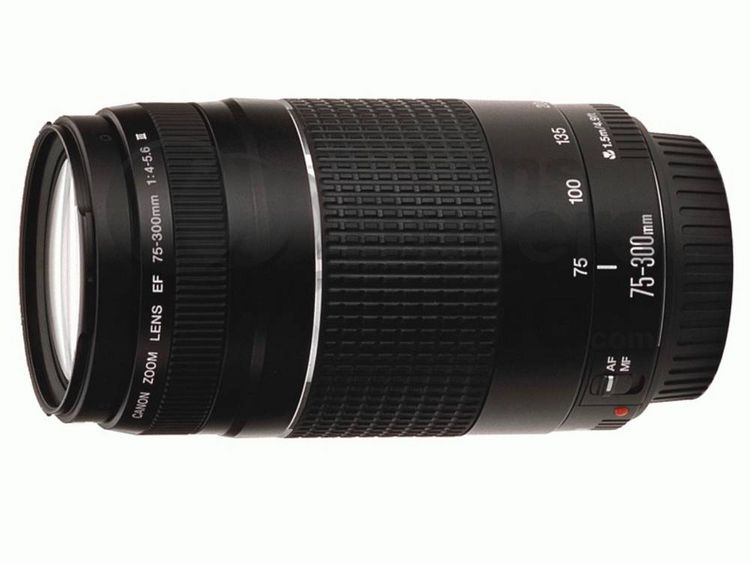 Produktbild: Canon EF DC 4,0-5,6/75-300 III 6473A015 Zoom-Objektiv