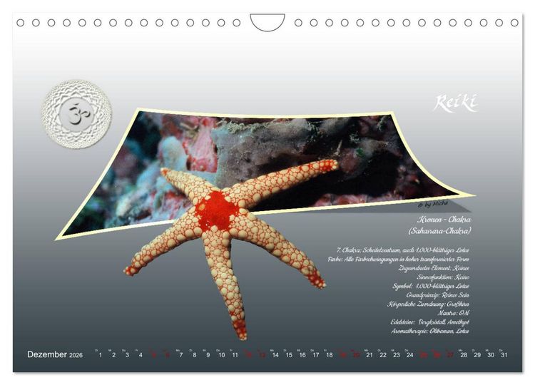 Produktbild: REIKI - Chakren und Lebensregeln (Wandkalender 2026 DIN A4 quer), CALVENDO Monatskalender