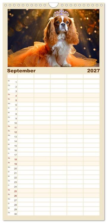 Produktbild: Familienplaner 2027 - Kleine Hunde - Gro&szlig;e Diven mit 5 Spalten (Wandkalender, 21 x 45 cm) CALVENDO