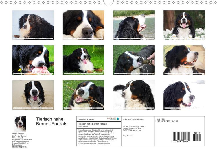 Produktbild: Tierisch nahe Berner-Portr&auml;ts (Wandkalender 2022 DIN A3 quer)