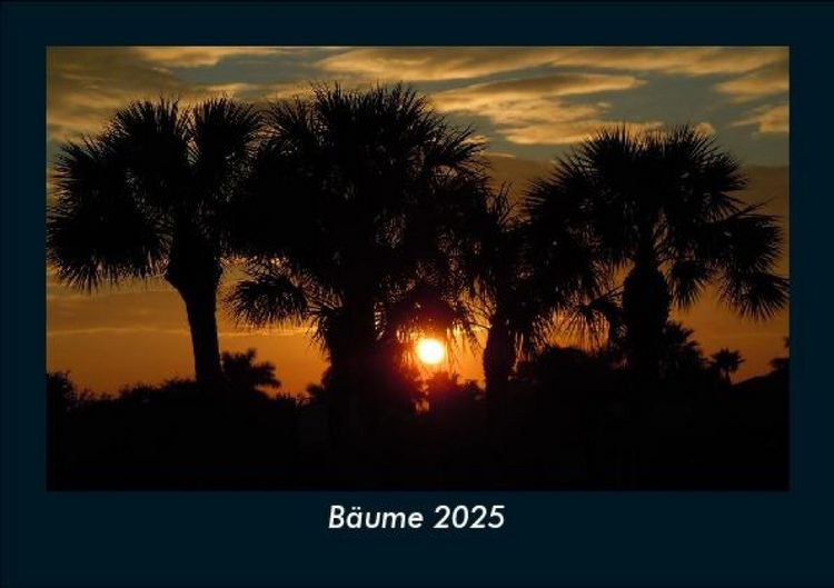 Produktbild: B&auml;ume 2025 Fotokalender DIN A5