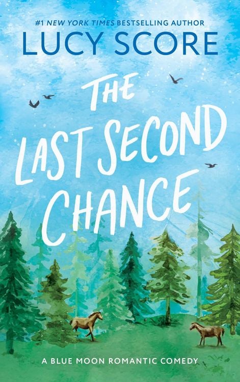Produktbild: The Last Second Chance
