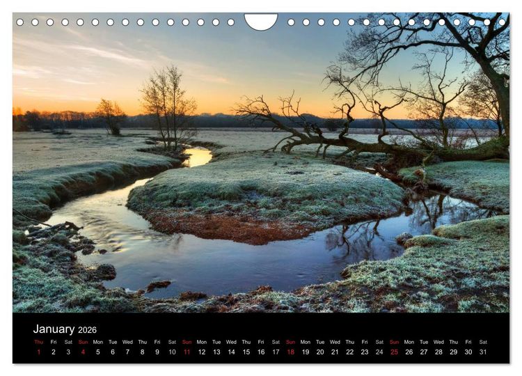 Produktbild: New Forest Hampshire (Wall Calendar 2026 DIN A4 landscape), CALVENDO 12 Month Wall Calendar