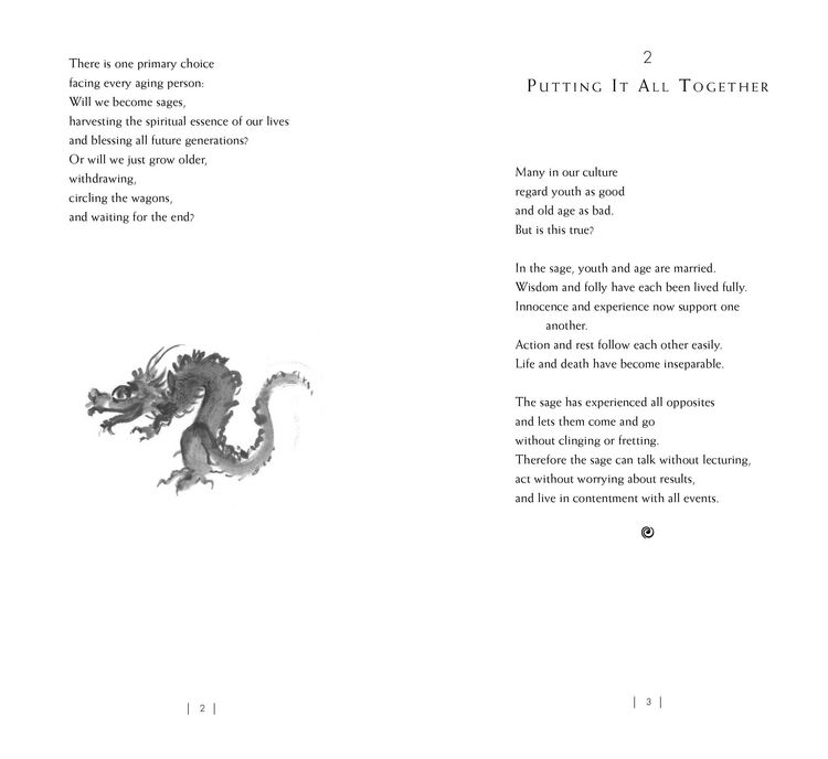 Produktbild: The Sage's Tao Te Ching, 20th Anniversary Edition