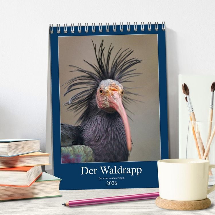 Produktbild: Der Waldrapp - Der etwas andere Vogel (Tischkalender 2026 DIN A5 hoch), CALVENDO Monatskalender