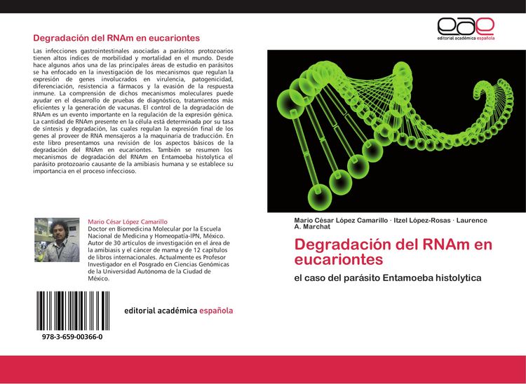 Produktbild: Degradaci&oacute;n del RNAm en eucariontes
