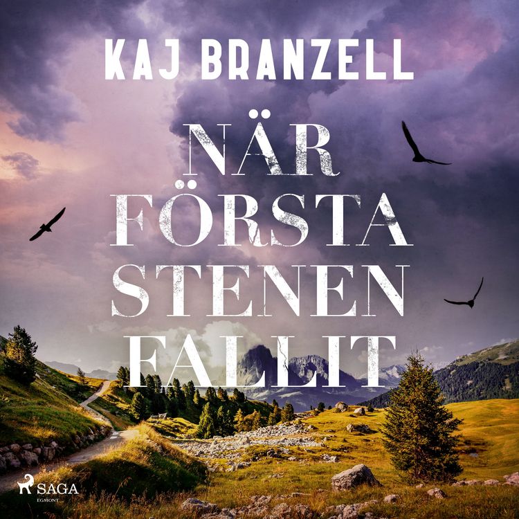 Produktbild: N&auml;r f&ouml;rsta stenen fallit