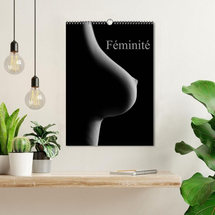 Produktbild: F&eacute;minit&eacute; (Calendrier mural 2027 DIN A3 horizontal), CALVENDO calendrier mensuel