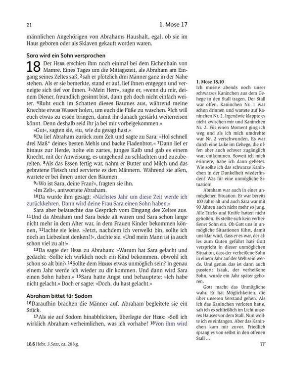 Produktbild: Das Buch der Versprechen