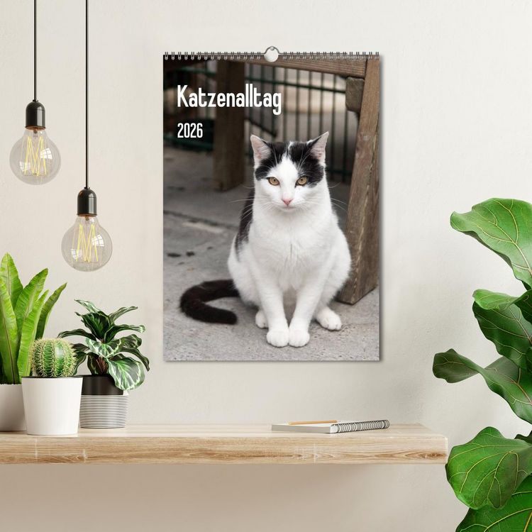 Produktbild: Katzenalltag 2026 (Wandkalender 2026 DIN A3 hoch), CALVENDO Monatskalender