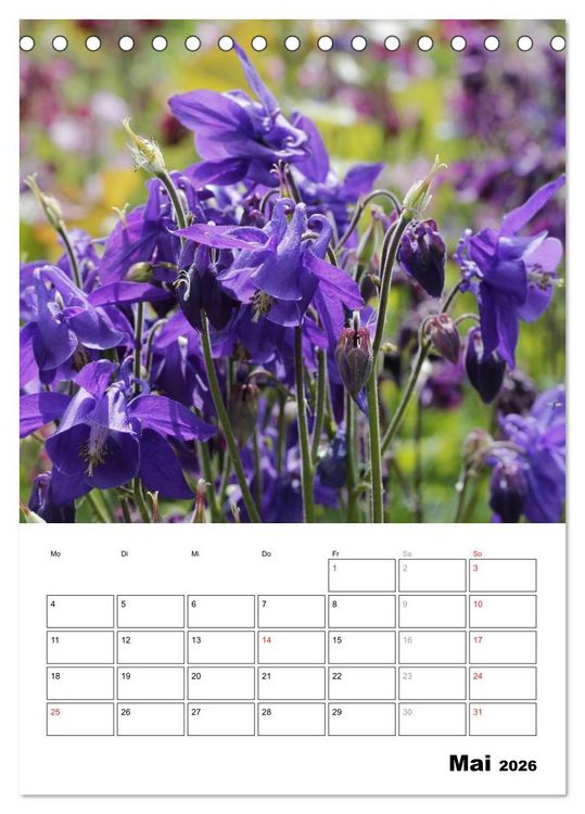 Produktbild: Zauberhafte Akeleien (Tischkalender 2026 DIN A5 hoch), CALVENDO Monatskalender