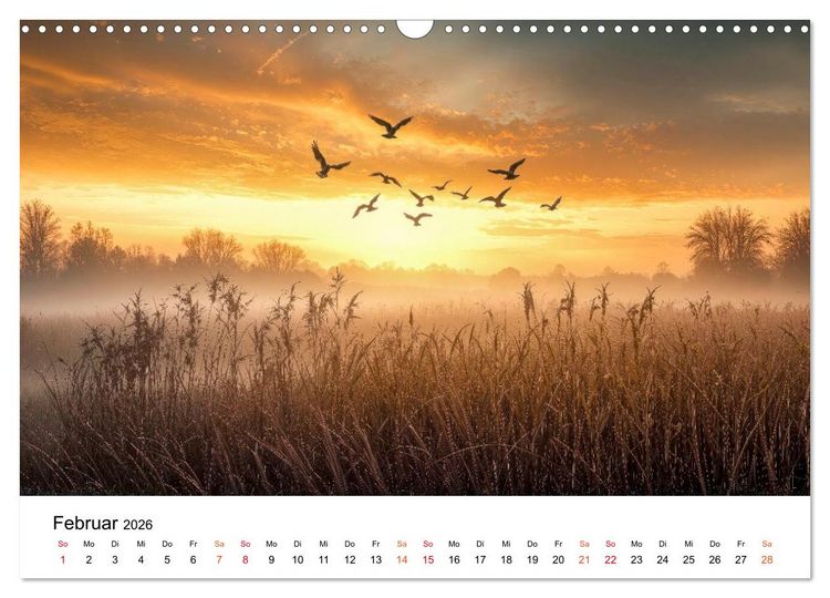 Produktbild: Naturzeit - Ein Jahr im Wandel (Wandkalender 2026 DIN A3 quer), CALVENDO Monatskalender