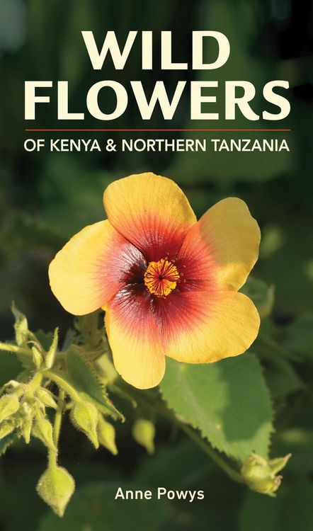 Produktbild: Wild Flowers of Kenya and Northern Tanzania