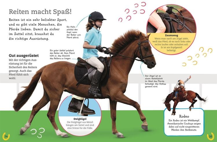 Produktbild: Pferde und Ponys