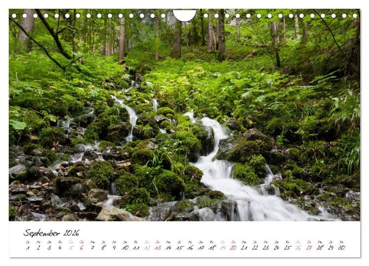 Produktbild: Oberallg&auml;uer Landschaft (Wandkalender 2026 DIN A4 quer), CALVENDO Monatskalender