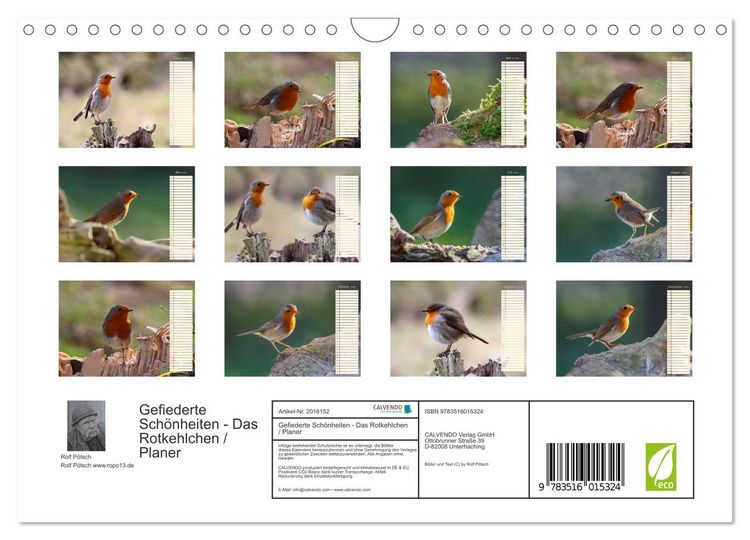 Produktbild: Gefiederte Sch&ouml;nheiten - Das Rotkehlchen / Planer (Wandkalender 2026 DIN A4 quer), CALVENDO Monatskalender