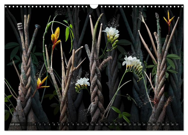 Produktbild: Musica fant&aacute;sia - Die wundersame Welt des Fotok&uuml;nstlers Olaf Bruhn (Wandkalender 2026 DIN A3 quer), CALVENDO Monatskalender