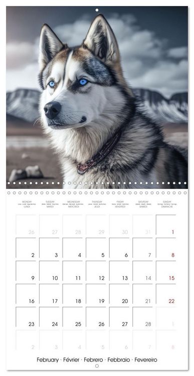 Produktbild: Des huskies adorables (Calendrier mural carr&eacute; 2026 30x30 cm) Calendrier double avec une page pour vos prises de notes