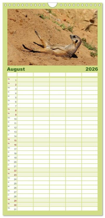 Produktbild: Familienplaner 2026 - Erdm&auml;nnchen mit 5 Spalten (Wandkalender, 21 x 45 cm) CALVENDO
