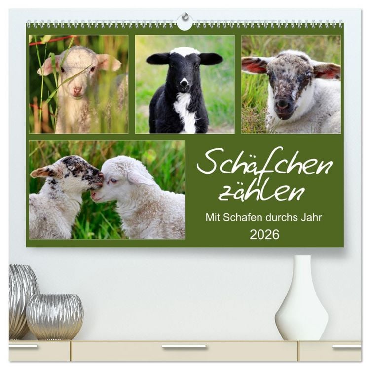 Produktbild: Sch&auml;fchen z&auml;hlen - Mit Schafen durchs Jahr (hochwertiger Premium Wandkalender 2026 DIN A2 quer), Kunstdruck in Hochglanz