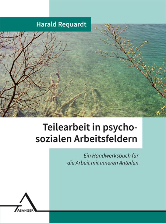 Produktbild: Teilearbeit in psychosozialen Arbeitsfeldern