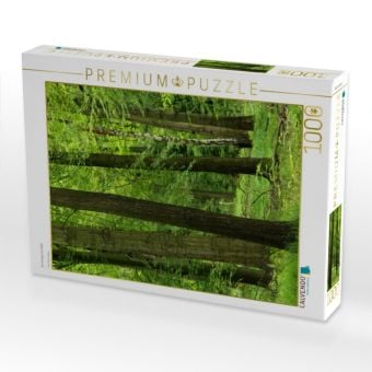 Produktbild: CALVENDO Puzzle Sommergr&uuml;ner Wald | 1000 Teile Lege-Gr&ouml;&szlig;e 64x48cm Foto-Puzzle f&uuml;r gl&uuml;ckliche Stunden