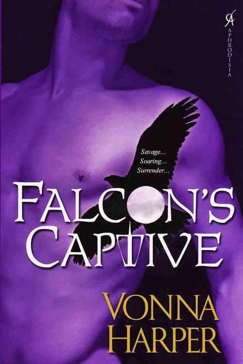 Produktbild: Falcon's Captive