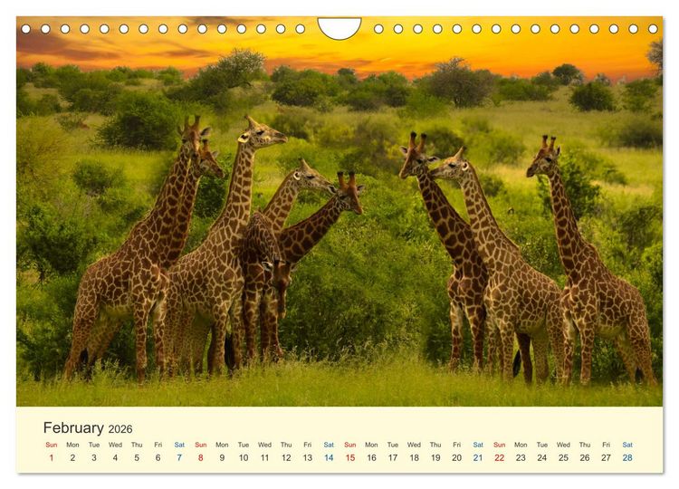 Produktbild: Wonderful Kenya (Wall Calendar 2026 DIN A4 landscape), CALVENDO 12 Month Wall Calendar