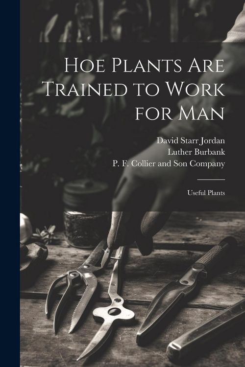 Produktbild: Hoe Plants are Trained to Work for Man; Useful Plants