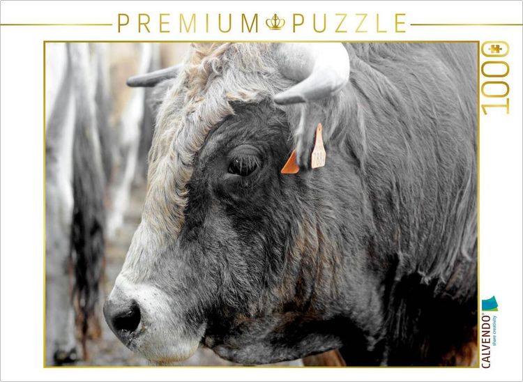 Produktbild: CALVENDO Puzzle Bull Aubrac | 1000 Teile Lege-Gr&ouml;&szlig;e 64x48cm Foto-Puzzle f&uuml;r gl&uuml;ckliche Stunden