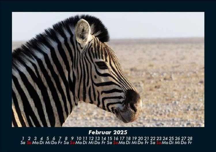 Produktbild: Zebrazauber 2025 Fotokalender DIN A5