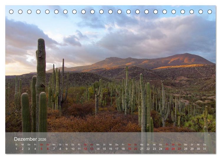 Produktbild: Bekanntes und Unbekanntes MEXIKO (Tischkalender 2026 DIN A5 quer), CALVENDO Monatskalender